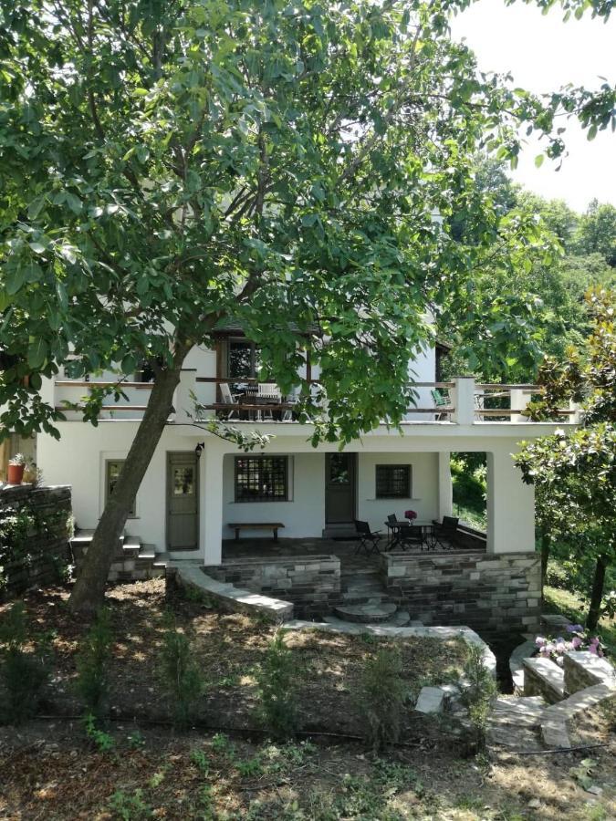 טסגרדה House In The Forest מראה חיצוני תמונה