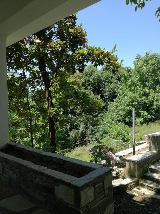 טסגרדה House In The Forest מראה חיצוני תמונה